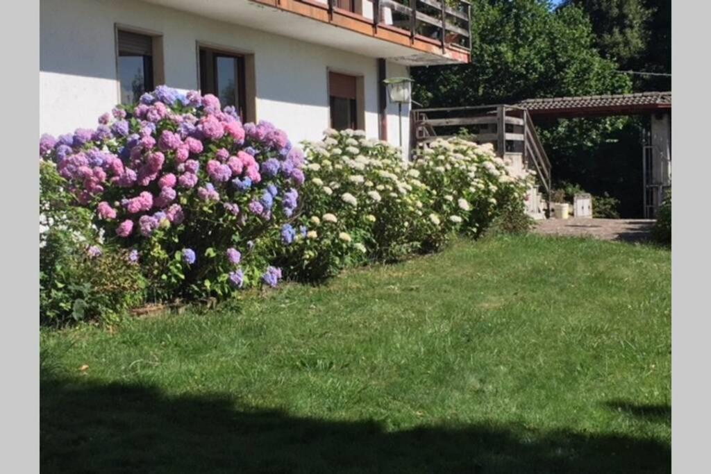 Villa Immersa Nel Verde A Lanzo D'Intelvi Luaran gambar