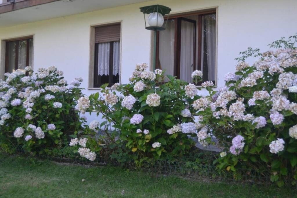 Villa Immersa Nel Verde A Lanzo D'Intelvi Luaran gambar